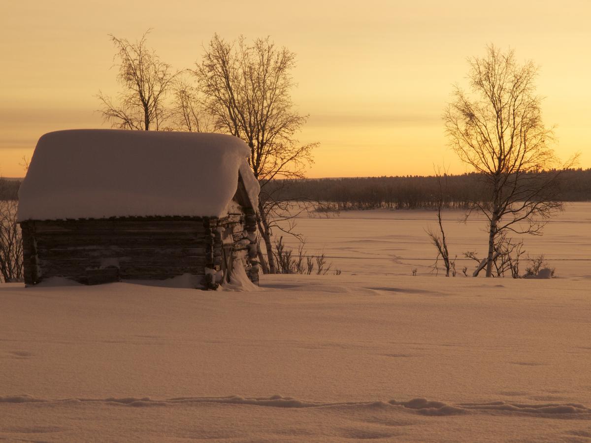 Ofelas Islandshaestar & Guideservice Kiruna Exterior photo